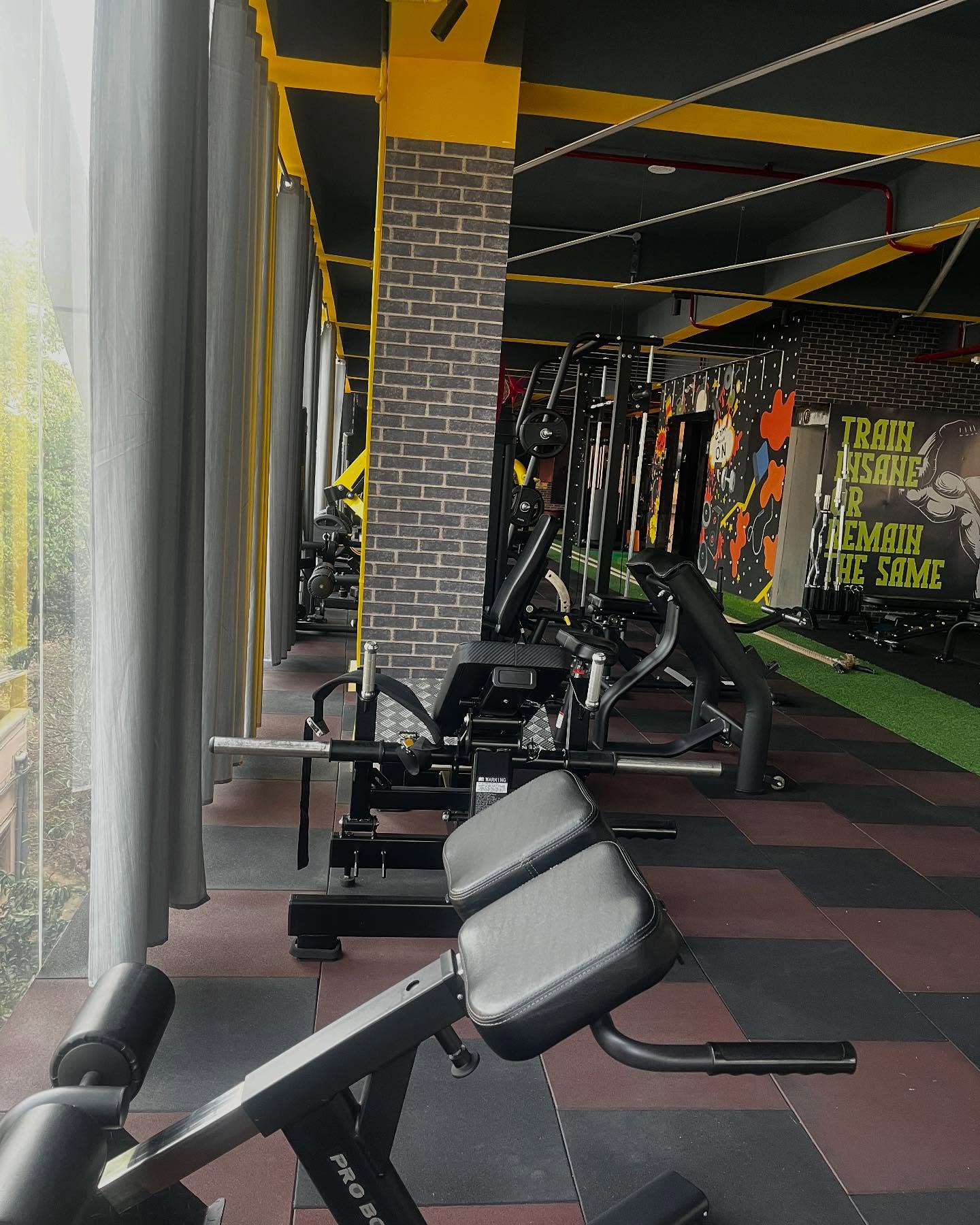 Row of plate-loaded machines and yellow beams